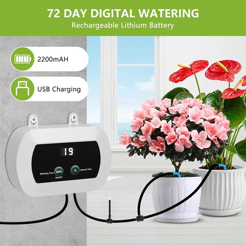 DIY Solar Irrigation Potted Plant Drip Irrigation Kit,Garden Balcony Greenhouse Drip Irrigation System,Automatic Watering System Oasis Select