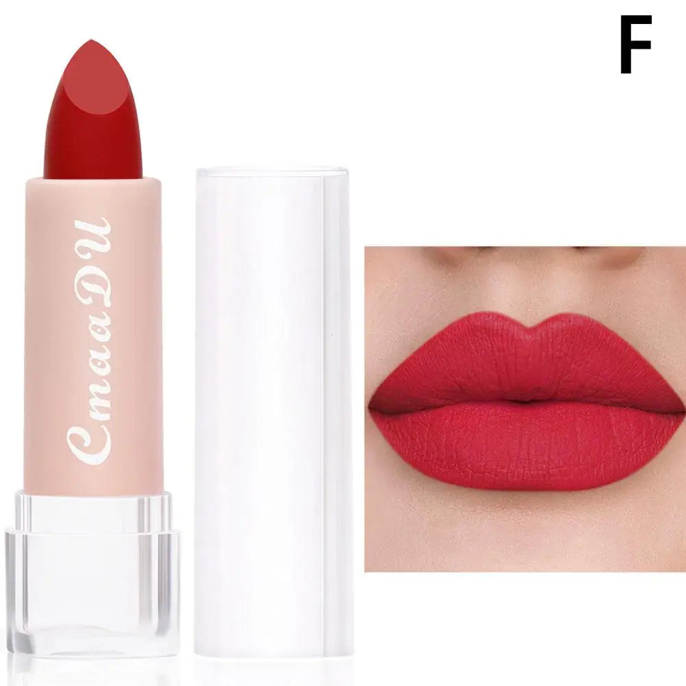 CmaaDu 15 Colour Moisturizing Matte Velvet Lipstick Easy To Color Waterproof Long Lasting Nude Lipstick Lipgloss Makeup Cosmetic Oasis Select 06