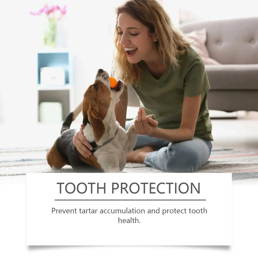 Pet Mouthwash for Dogs Cleans Teeth Freshens Bad Breath Removes Tartar Reduce Odor Daily Oral Hygiene for Dogs Oral Care Oasis Select