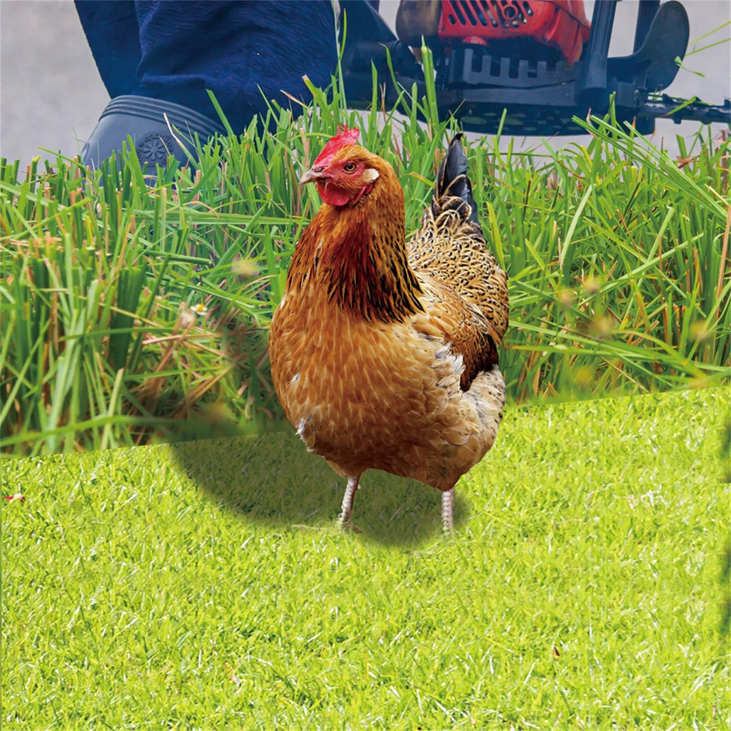 2D Flat Garden Statues Ornaments For Hen Chicken Decorations Sculptures Yard Art Outdoor Decorations Rooster Statue Art Deco Oasis Select 1PC One Size