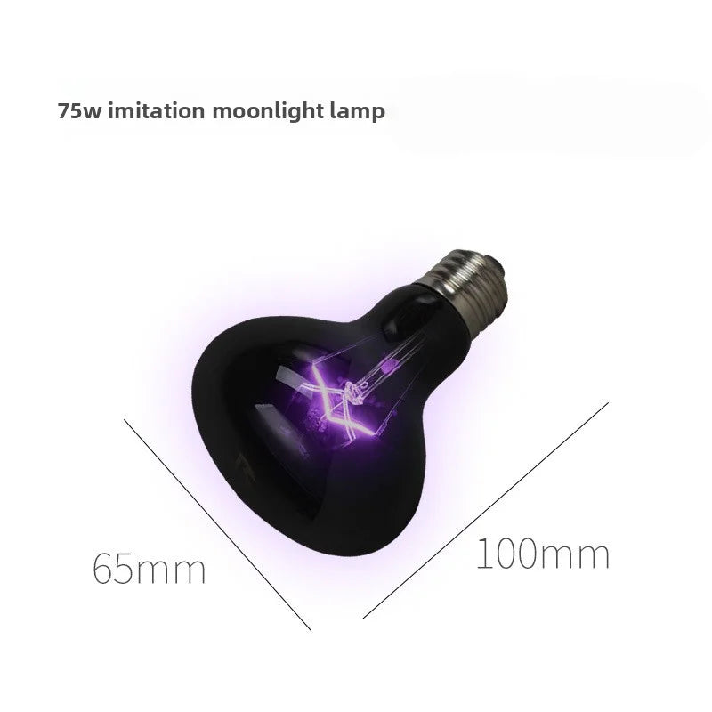 Reptile Moonlight Night Lamp | Chameleon & Lizard Heat Bulb
