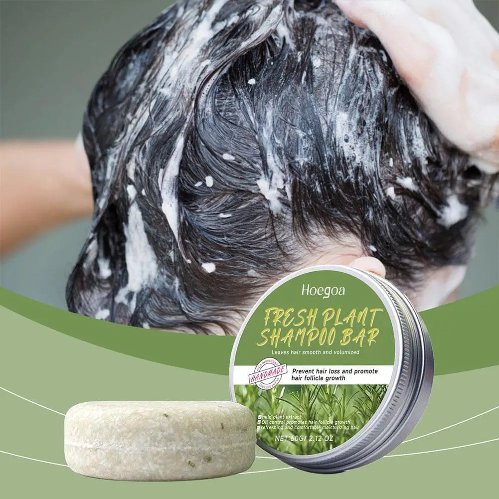 Rosemary Shampoo Soap Ginger/bamboo/lavender/Polygonum Multiflorum Deep Cleansing Soap Bar For Treated Dry Damaged Hair Care Oasis Select