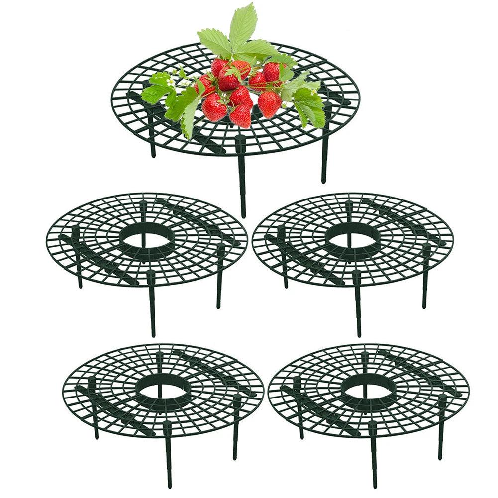 Strawberry Supports Keeping Plant Fruit Stand Vegetable Growing Rack Garden Tools for Protecting Vines Avoid Ground Gardening Oasis Select