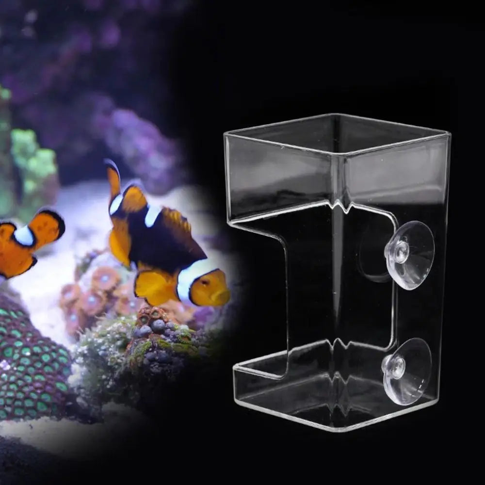 Acrylic Aquarium Feeders Ring Transparent Suction Cup Fish Tank Food Dispenser Fixed-Point Durable Floating Food Tray Feeder Oasis Select