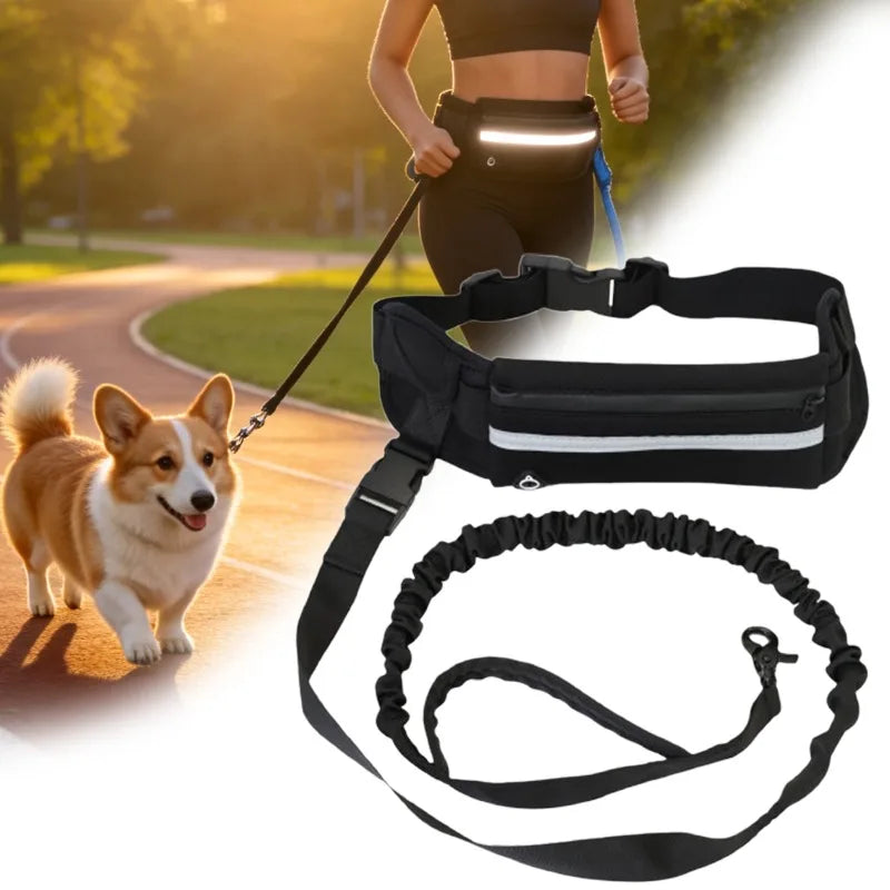 Retractable Elastic Dog Leash Pet Supplies Waist Bag with Reflective Leash Pet Leash Hands-Free Dog Leash for Running Walking Oasis Select