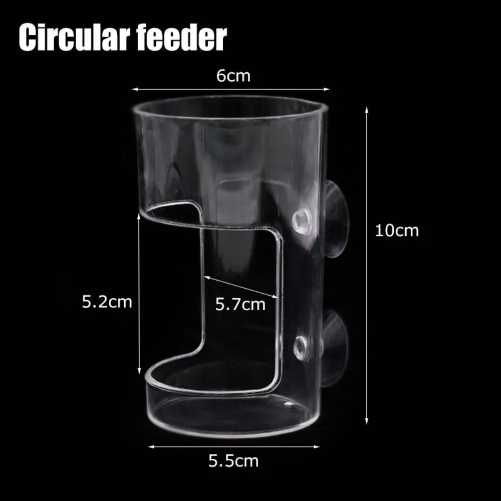 Acrylic Aquarium Feeders Ring Transparent Suction Cup Fish Tank Food Dispenser Fixed-Point Durable Floating Food Tray Feeder Oasis Select Circle