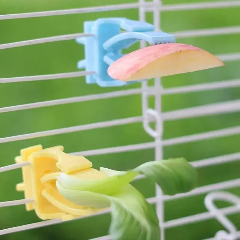 2/4Pcs Pet Bird Food Holder Parrot Fruits Vegetables Clip Bracket Cuttlefish Bone Feeder Device Clamp Bird Cage Accessories Oasis Select