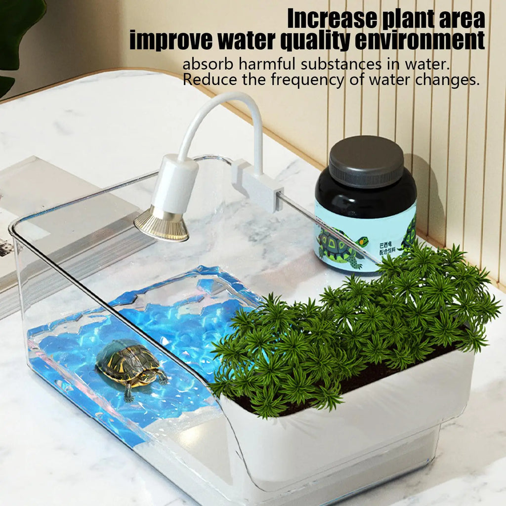 Aquatic Turtle Tank Reptile Habitat Box Transparent Small Tortoise Breeding Box for Reptile Crab School Science Class Nature Oasis Select