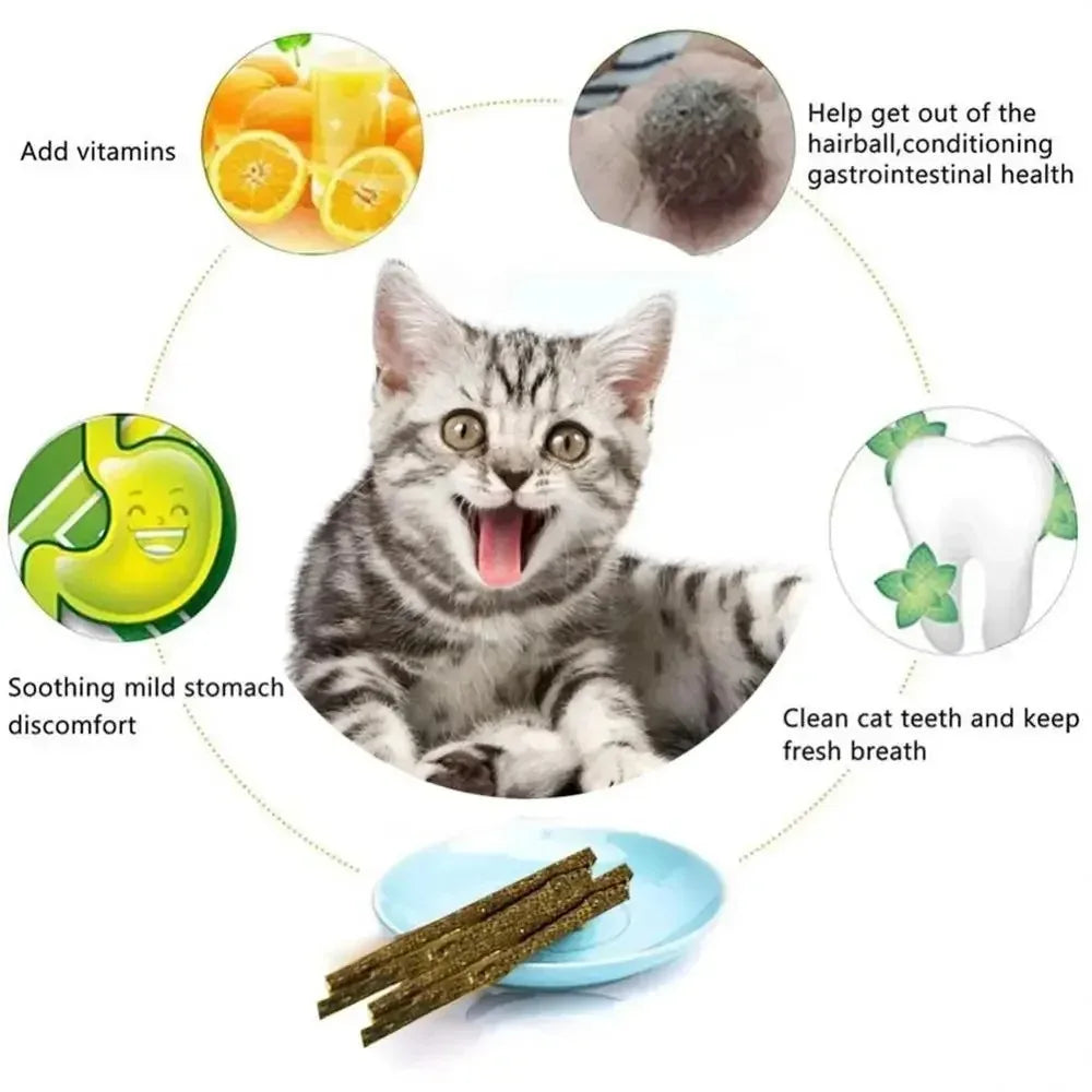 6pcs Natural Matatabi Cat Stick Mint Caught Bite Excited Rods Silvervine For Cat Teeth Cleaning Treating Pet Supply Cat Toys Oasis Select