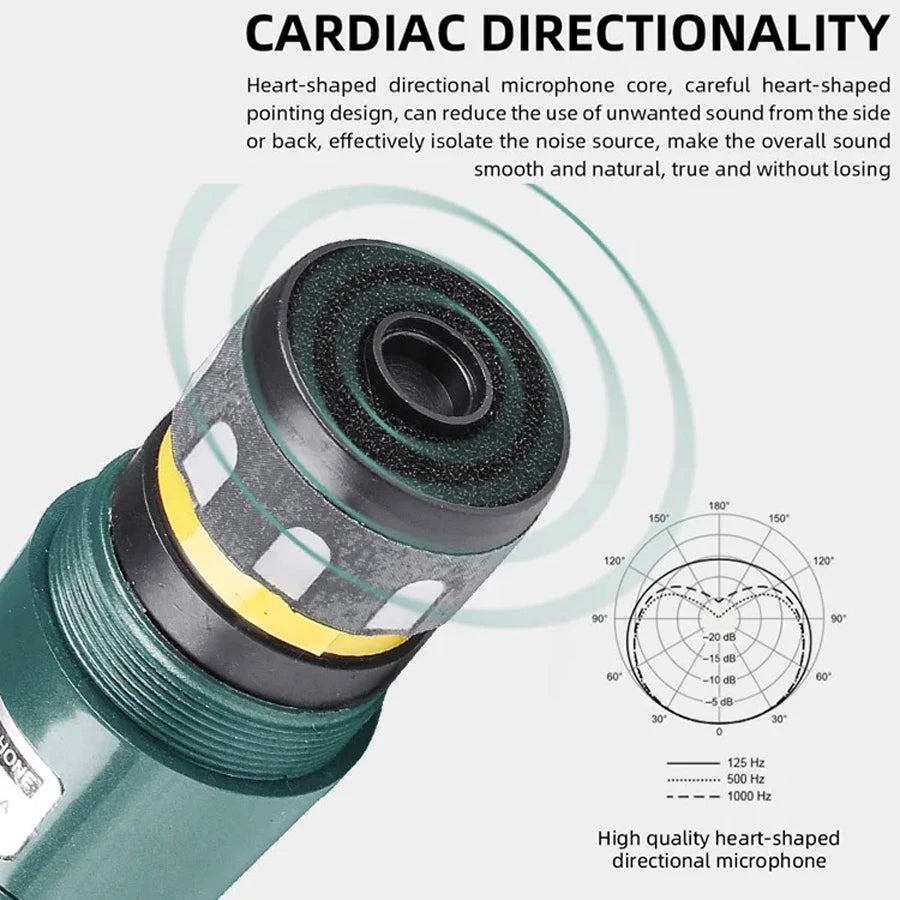 AyeBeau Wired Dynamic Microphone – Karaoke, Gaming & Streaming