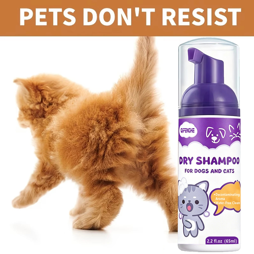 No Rinse Dog & Cat Dry Shampoo Foam – Waterless Pet Cleaner