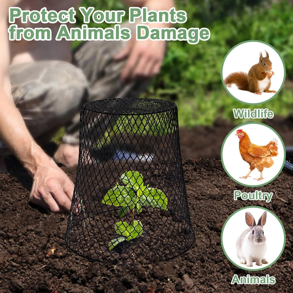 10-Pack Wire Plant Protection Cloches – Garden Pest Cages Garden Plant Cage Oasis Select