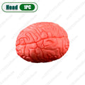 Halloween Fake Human Limbs Props – Hands, Feet, Brain & Heart