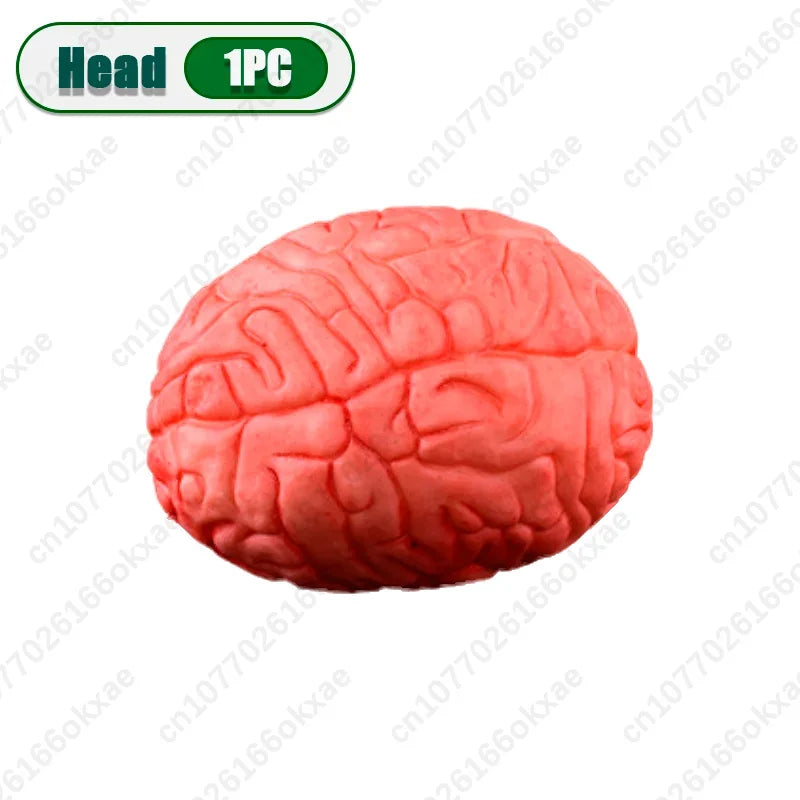 Halloween Fake Human Limbs Props – Hands, Feet, Brain & Heart