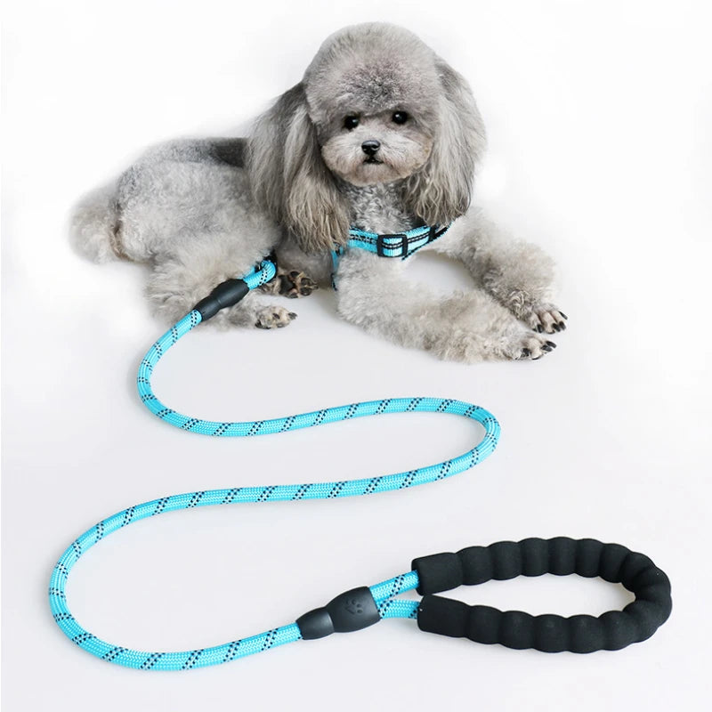 3m Pet Reflective Nylon Tow Rope Non Slip Foam Handle Pet Adjustable Towing Ropes Large Middle Small Dogs Outdoors Pet Supplies Oasis Select