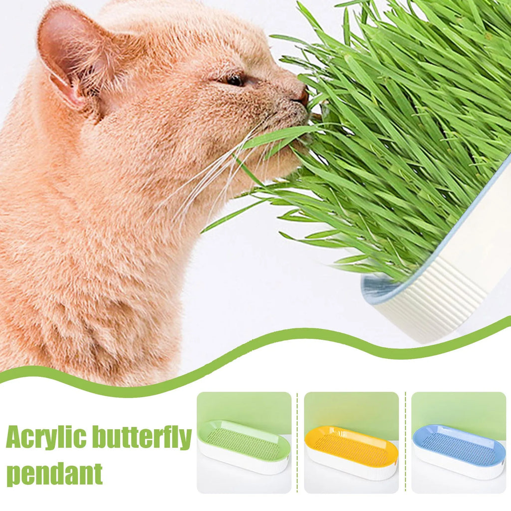 Soilless Cat Grass Hydroponic Growing Kit – Germination Tray Cat Grass Growing Kit Oasis Select