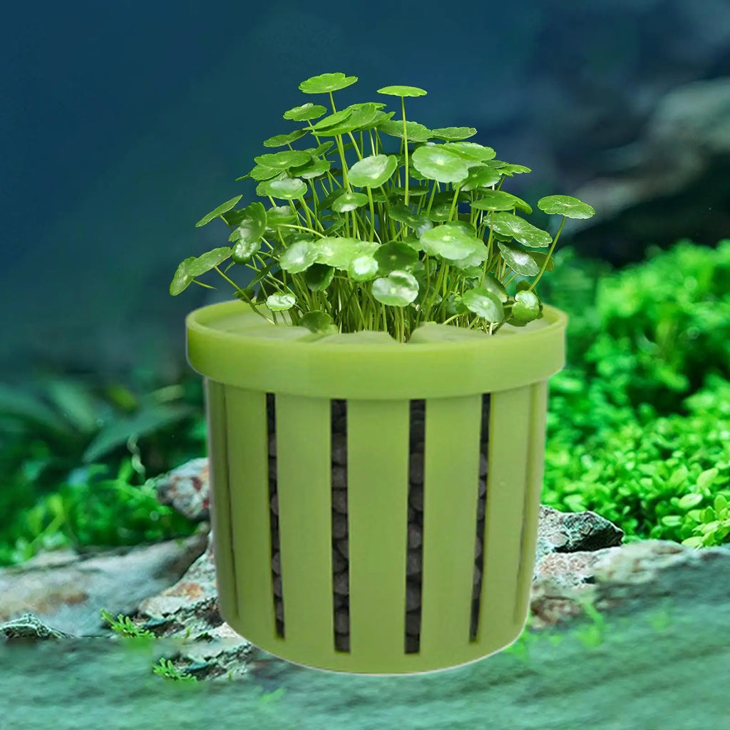 Aquarium Plant Holder Stable Fish Tank Plant Basket Aquarium Hydroponics Planting Holder Water Feature Decoration Accessories Oasis Select