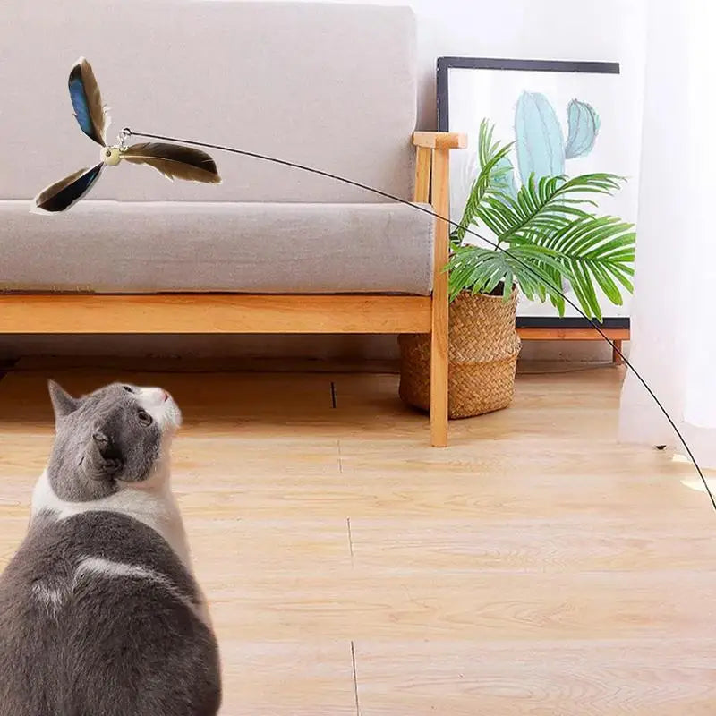 Cat Feather Toy Refill Interactive Cat Toy Cat Feather Wand Set of 6 Wear-Resistant Cat Feathers Refill Toys Interactive Teaser Oasis Select
