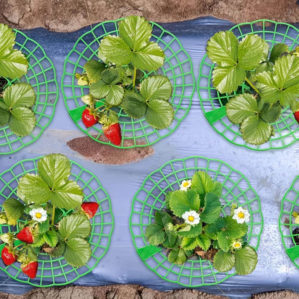10pcs of Green Strawberry Planting Rack with 3 Sturdy Legs-strawberry Planting Rack Potted Antiseptic Rotten Fruit Support Oasis Select