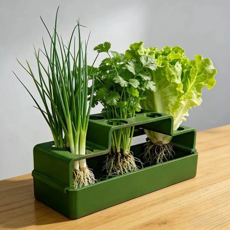 Indoor Hydroponic Planting Box Dedicated Green Onion Growing Device Soilless Cultivation Pot for Home Vegetable Planting Oasis Select