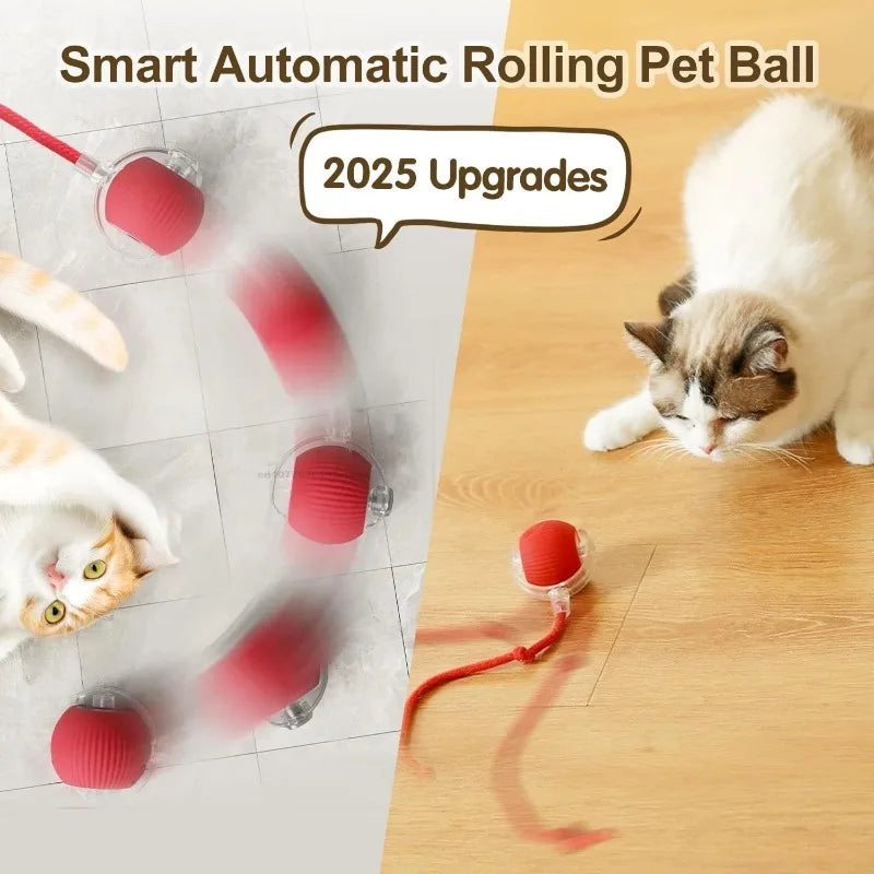 Cat Interactive Ball Training Self-moving Kitten Electric Cat Ball Toys Electronic Automatic Rolling Magic Ball Toys for Cat Oasis Select