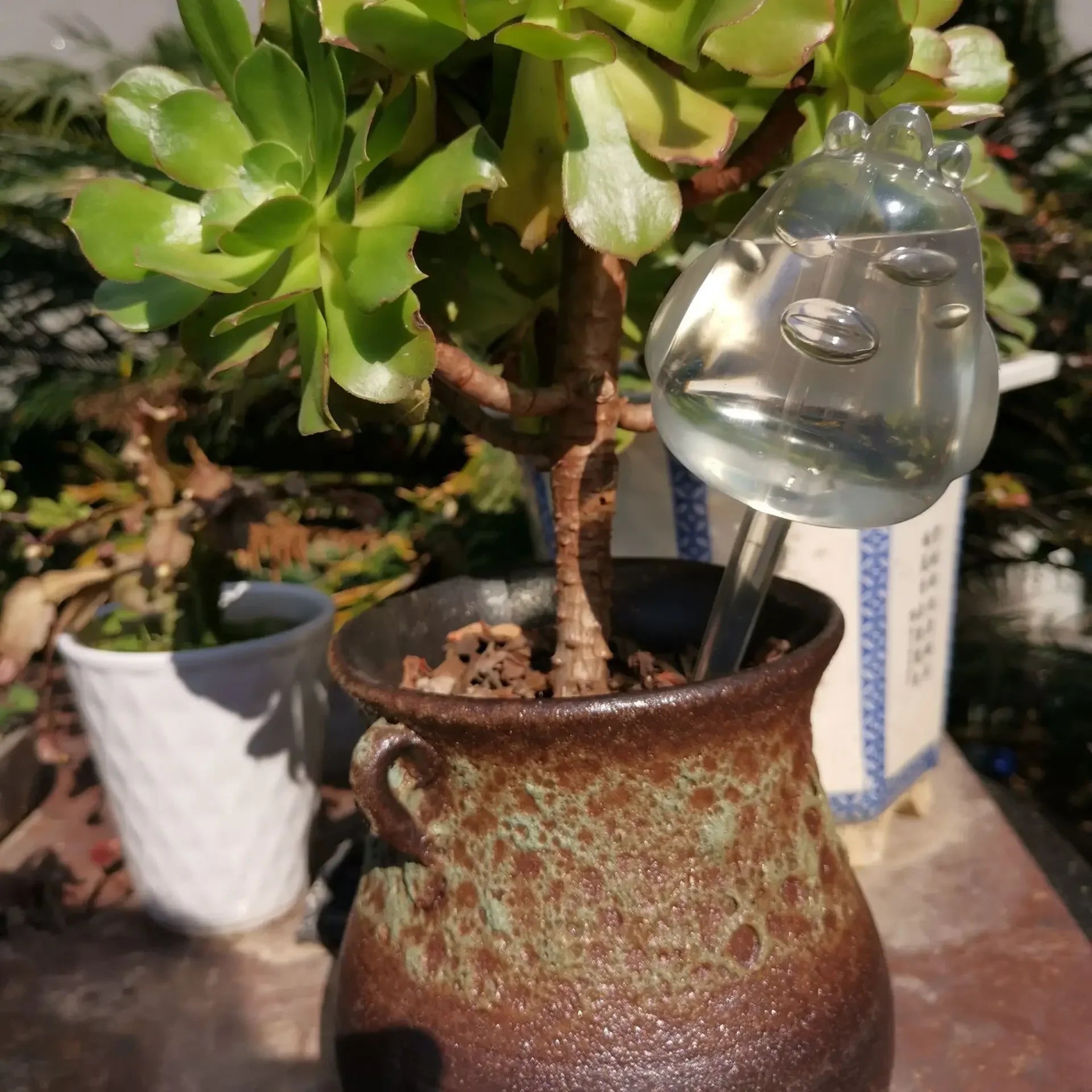 Auto Plants Drip Irrigation System Automatic Watering Spike Flower Indoor Household Garden Pot Waterers Self Watering Feeder Oasis Select chick L