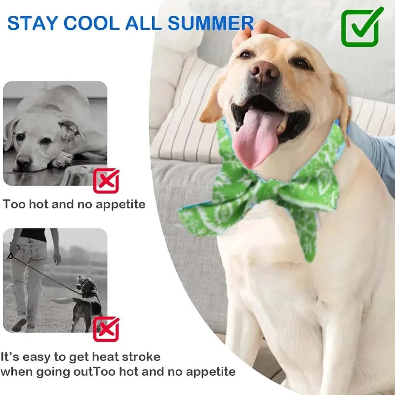 Pet Cooling Scarf Ice Collar for Cats Dogs Summer Heat Relief Outdoor Travel Accessory with Breathable Cartoon Design Oasis Select