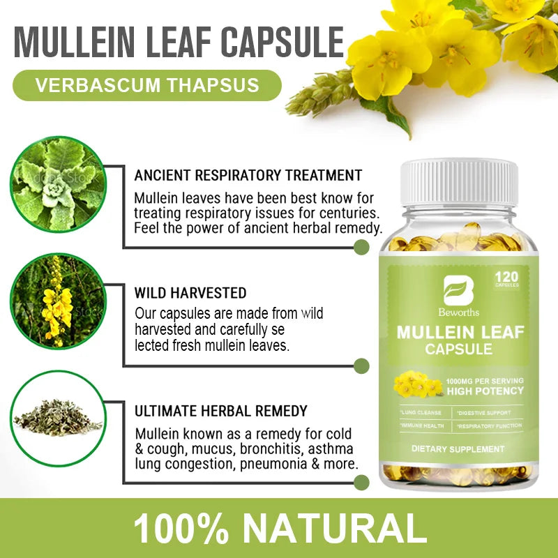 BEWORTHS Natural Mullein Leaf Capsules Support Immune and Digestive Health Lung Cleansing Relieve Asthma,Respiratory & Cough Oasis Select