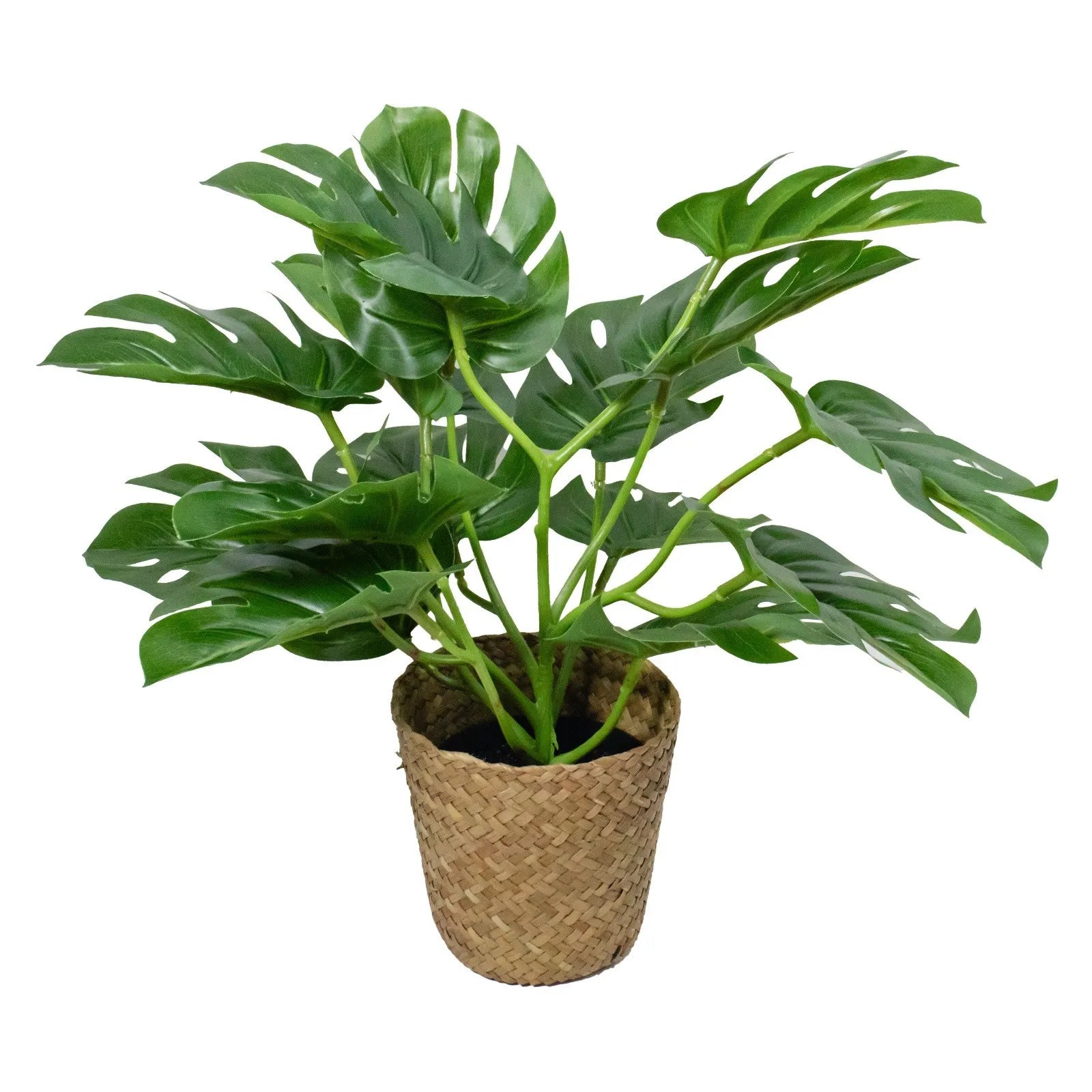 Artificial Monstera Turtle Back Leaf Simulation Potted Plant Artificial Potted Plant Oasis Select