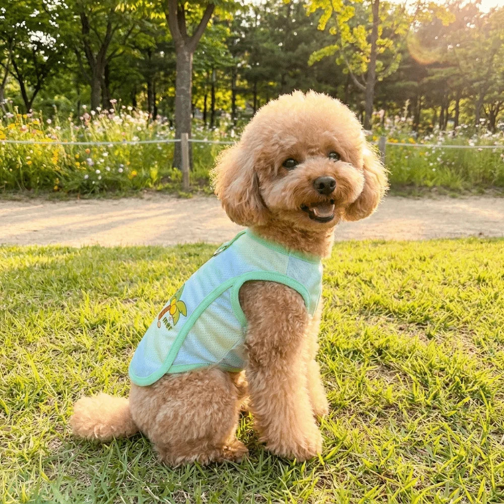 Striped Mesh Pet Cooling Vest Thin Breathable Breathable Dog Ice Silk T-shirt Cartoon Bear Pattern Lightweight Cooling Jacket Oasis Select