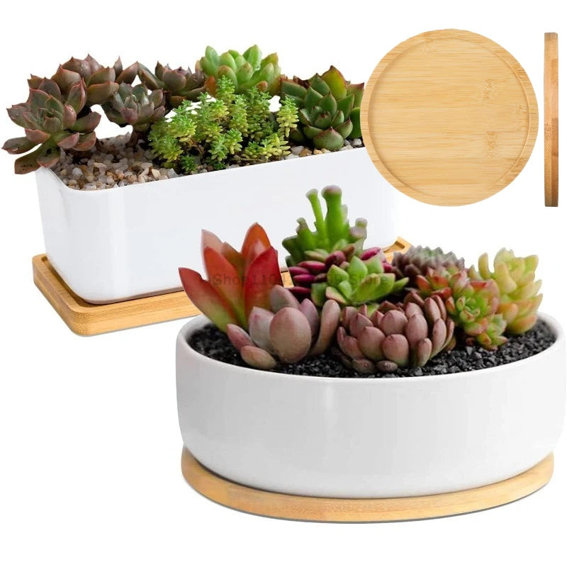 Multi Container Storage Trays Shower Shampoo Body Wash Cosmetics Dispenser Holder Bamboo Wood Tray Bathroom Kitchen Pot Holder Oasis Select