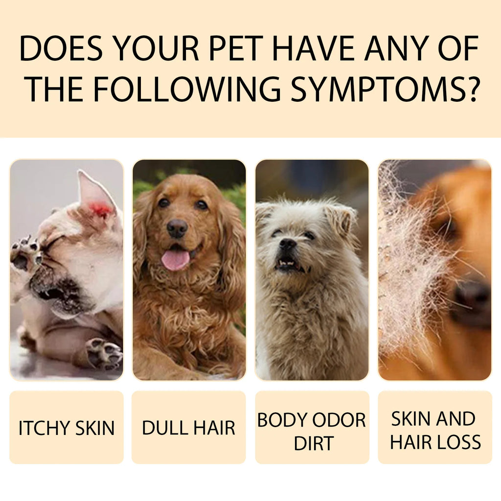 YEGBONG Pet Shampoo for Cats & Dogs – Gentle & Deodorizing Pet Shampoo Oasis Select