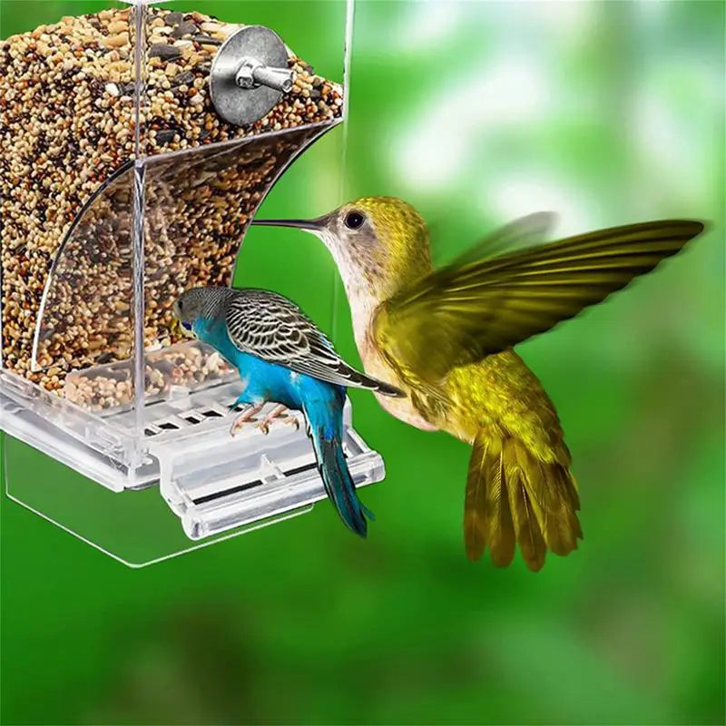 Automatic Parrot Feeder Drinker No messy Bird Feeders Acrylic Seed Food Container Cage Accessories For Small & Medium Parakeets Oasis Select