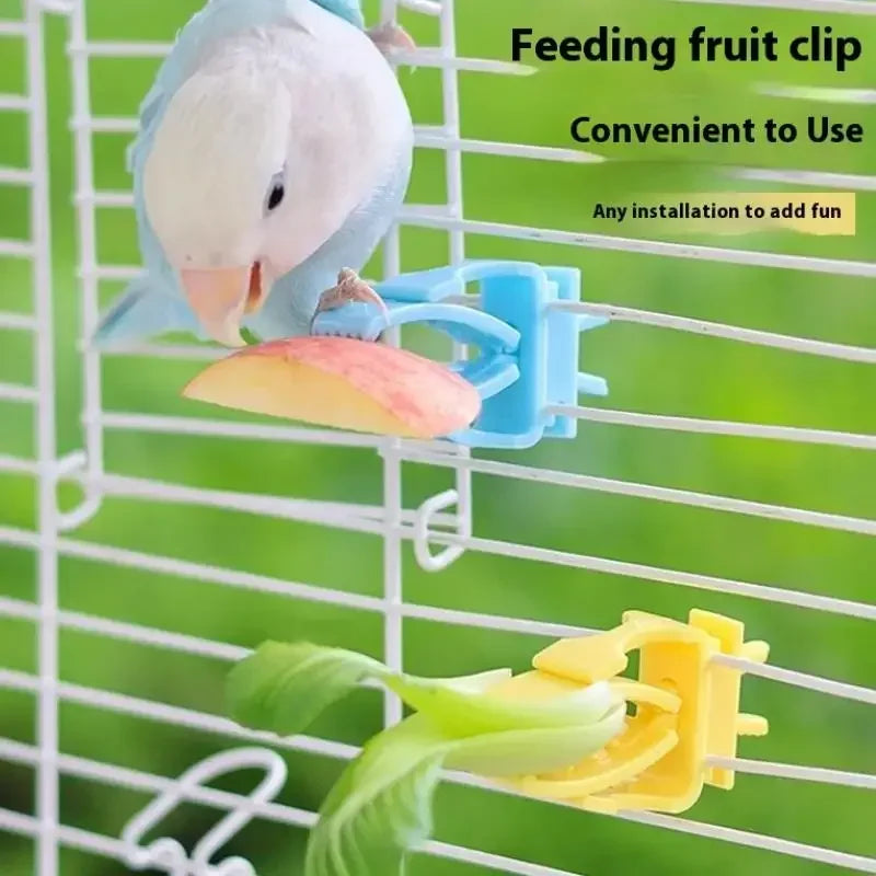 2/4Pcs Pet Bird Food Holder Parrot Fruits Vegetables Clip Bracket Cuttlefish Bone Feeder Device Clamp Bird Cage Accessories Oasis Select