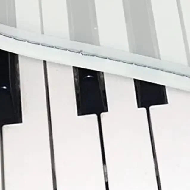 Dust Protection Cover As Shown Electronic Keyboard Cover 61 To 76-key Fit Easy To Transport Lightweight Design Oasis Select China Mainland 76 keys