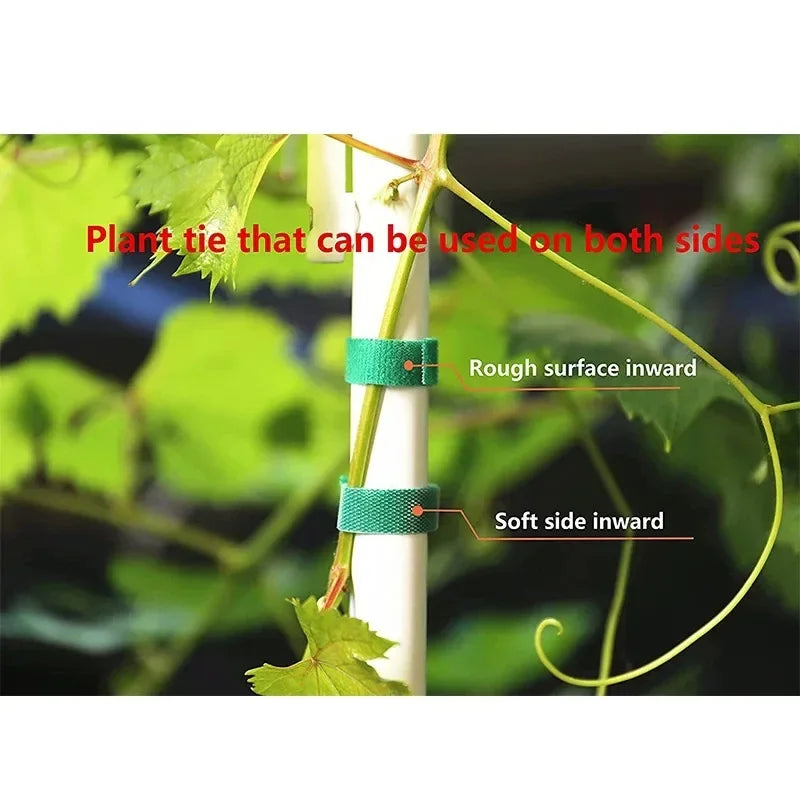 Green Garden Twine Plant Ties Nylon Plant Bandage Garden Hook Loop Bamboo Cane Wrap Support Garden Accessories Oasis Select
