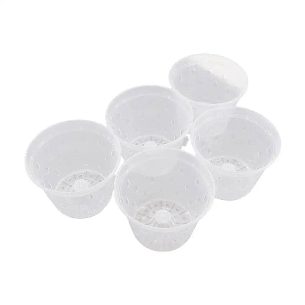 Transparent Orchid Pot with Drainage Holes & Tray | Phalaenopsis