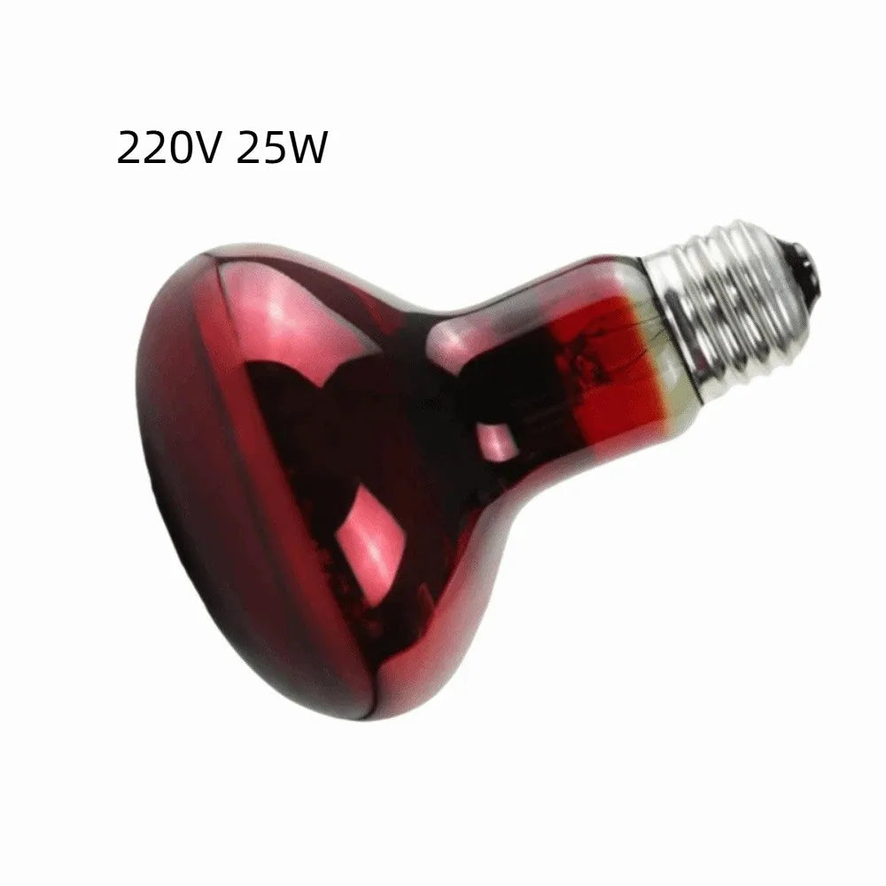 E27 UVA Reptile Heating Lamp 25–100W | Daylight Heat Bulb