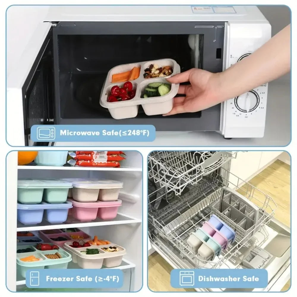 4 Grid Snack Containers Reusable Meal Prep Lunch Containers Portable for Kids and Adults Home Snack Storage Bottles Kitchen Tool Oasis Select