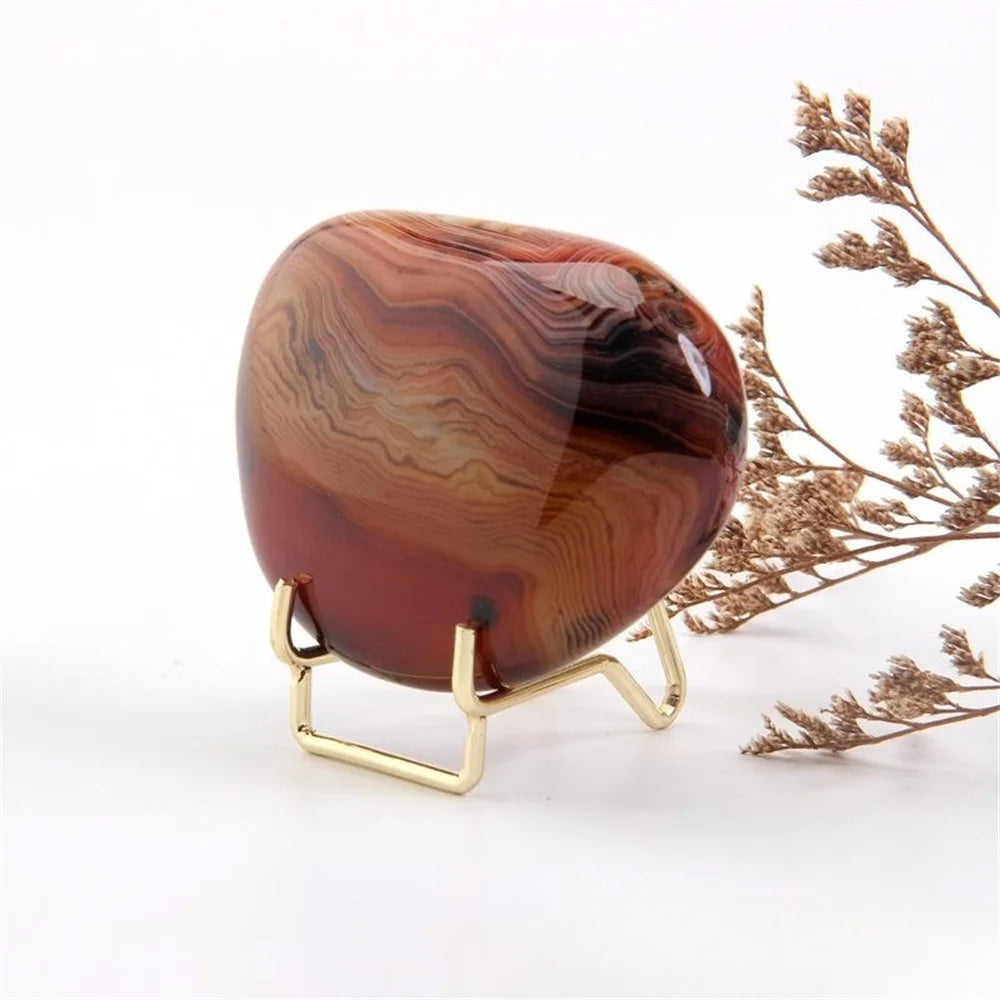 1PCS Metal Arm Display Stand Easel For Gemstone Mineral Home Decor Minerals Fossils Rocks Geode Display Stands Crystals Holder Oasis Select