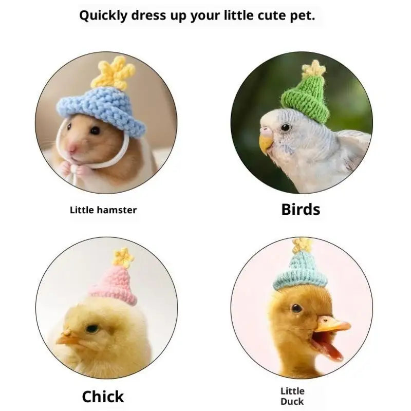 Handmade Knitted Hat for Hamster, Parrot & Small Pets