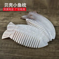 Shell Comb Natural Conch Scraping Plate Crafts Ornaments Pearl Shell Gift ocean decor sea abalone shell Oasis Select Comb x2