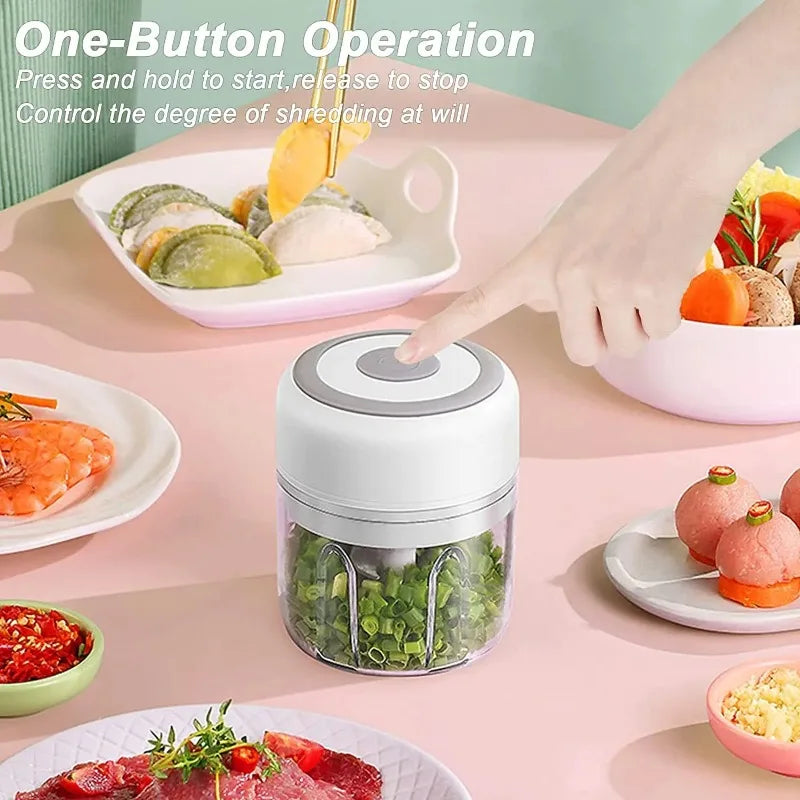 2026 Hot Sale！USB Portable 100/250ML Electric Meat Grinder Vegetable Chopper Mini Garlic Masher Kitchen Food Crusher Gadgets Oasis Select