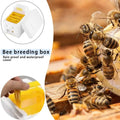 Foam Beehive Mating & Pollination Box – Beekeeping Starter Kit Beehive Mating Box Oasis Select United States