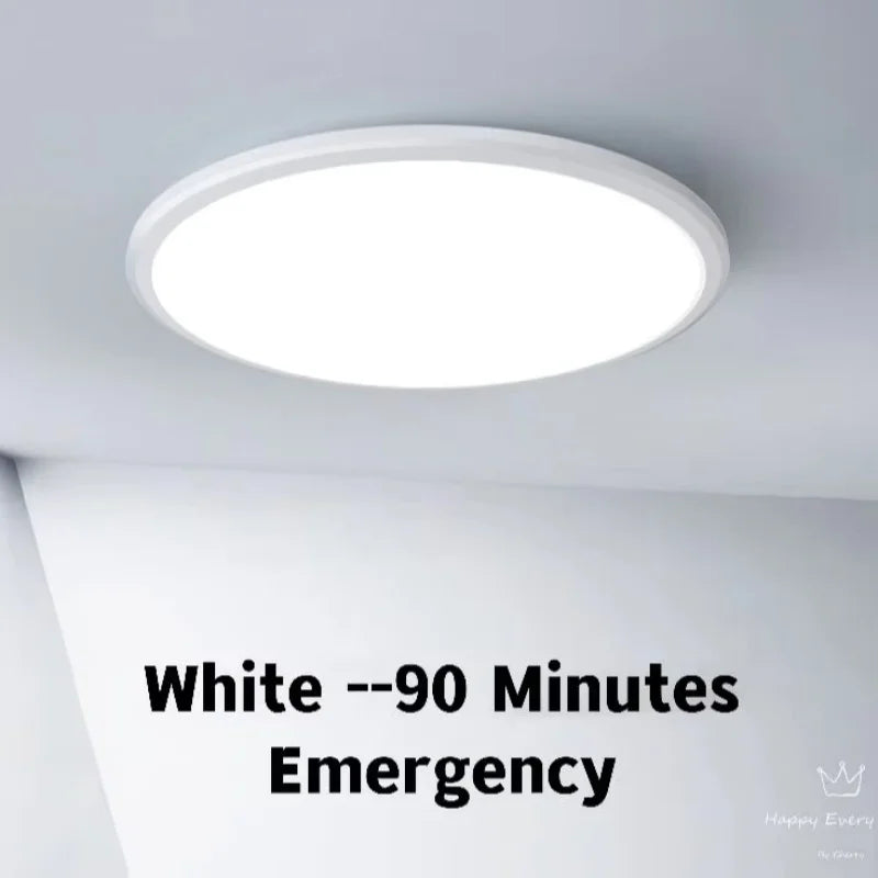 SHINEKNOT IP54 LED Emergency Ceiling Light 12W–48W | 90 Min