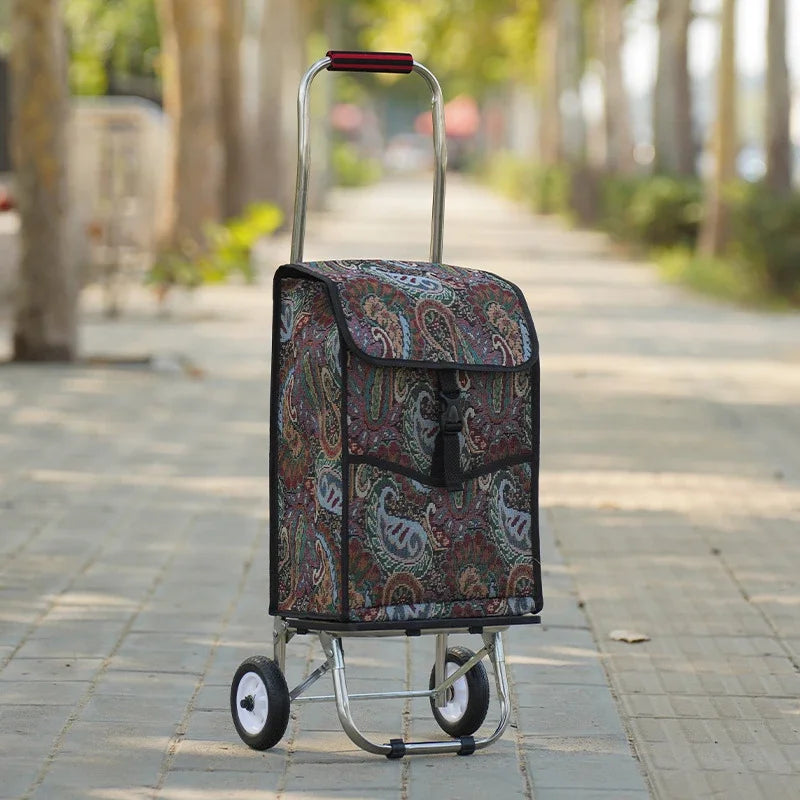 Household Goods Shopping Cart Folding Supermarket Vegetable Market Shopping Cart Oxford Stainless Steel Frame Pull Rod Truck Oasis Select