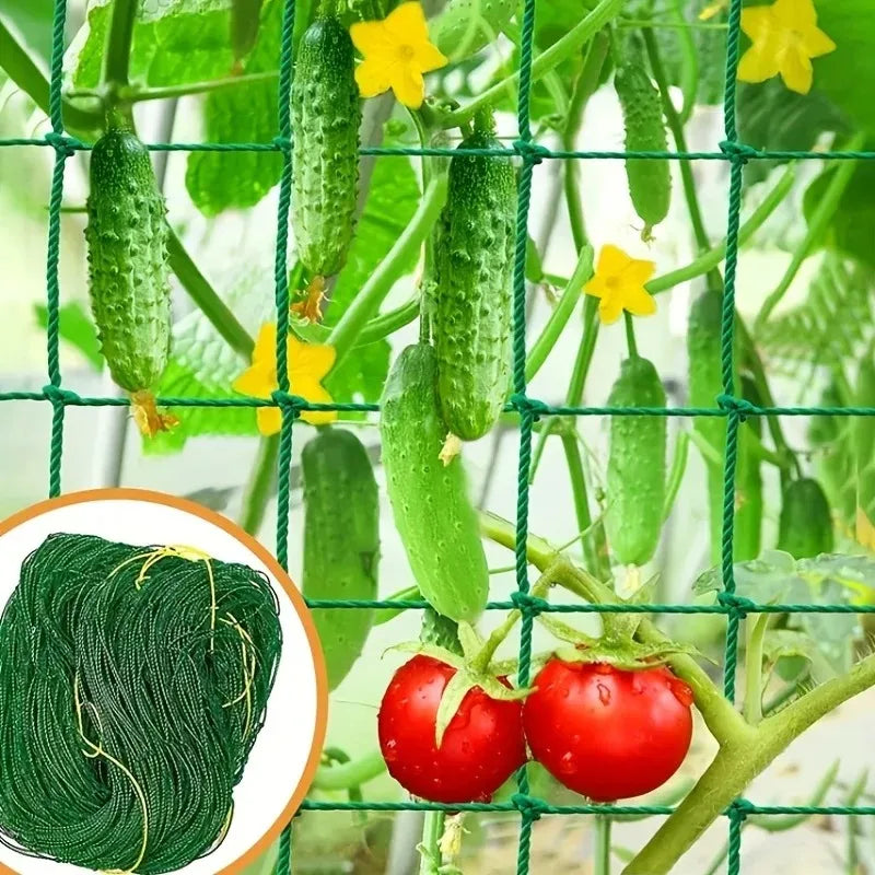Plant Climbing Net Green Gardening Grid Cucumber Hanging Gourd Climbing Net Bracket Net Wind Resistance Net Oasis Select