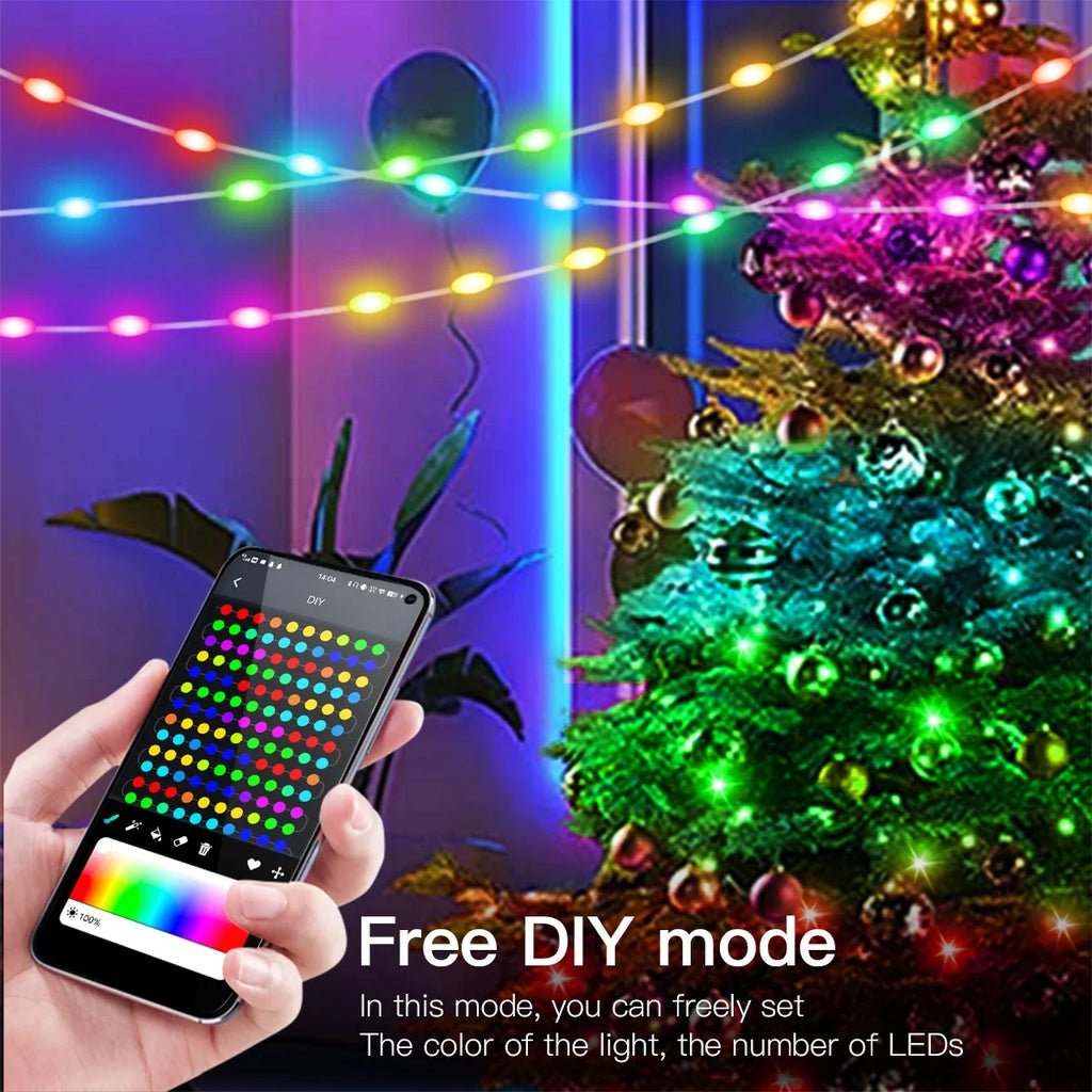 Dreamcolor WS2812B RGBIC Bluetooth APP Control LED String Lights DIY USB Lamp Fairy Garland for Party Festival Tree Wedding Deco Oasis Select