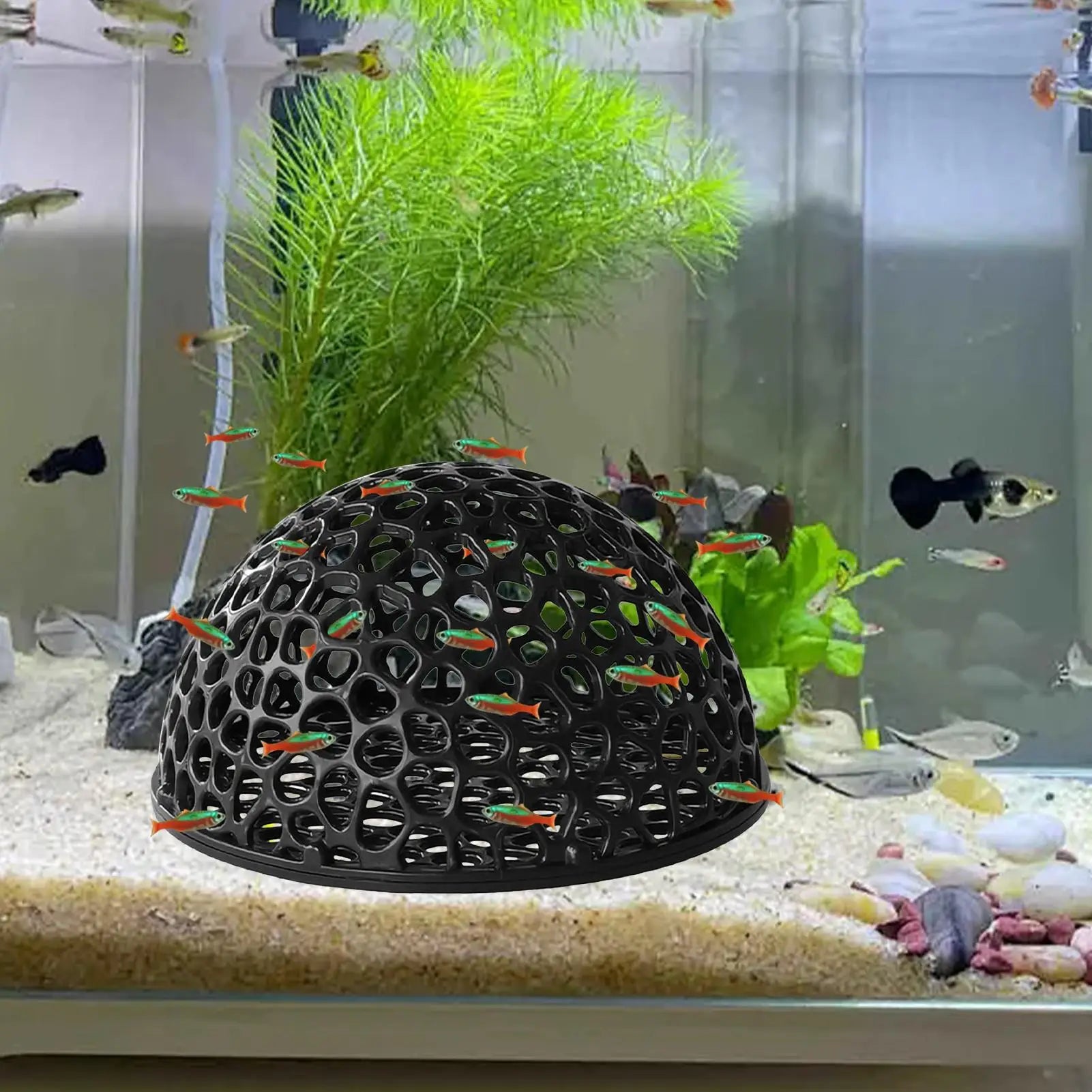 Aquarium Shrimp Hide Aquarium Decoration Small Fish Hide Hollow Betta Habitat Ornamental Fish Resting Place for Freshwater Tank Oasis Select