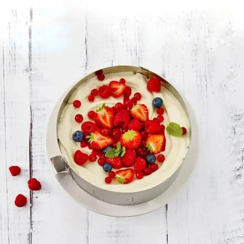 Adjustable Stainless Steel Round Cake Ring Mould for Mousse
